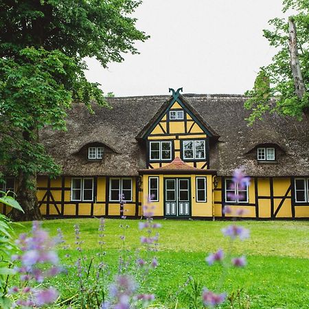 Herrenhaus Gut Dorotheenthal Damp Kültér fotó